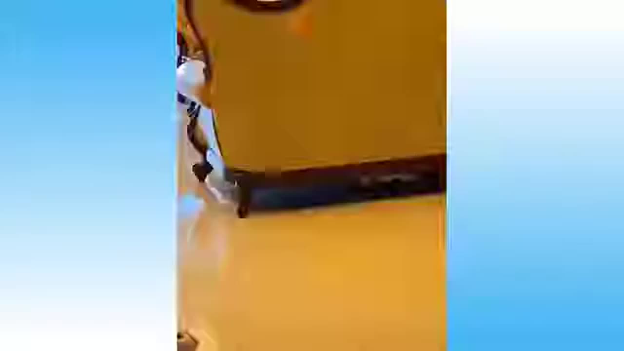 Cute pets doing funny things | cute animal videos | ♥️6 i love cute animals