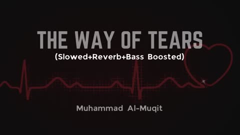 The Way of Tears (Slowed+Reverb+Bass boosted) | Muhammad