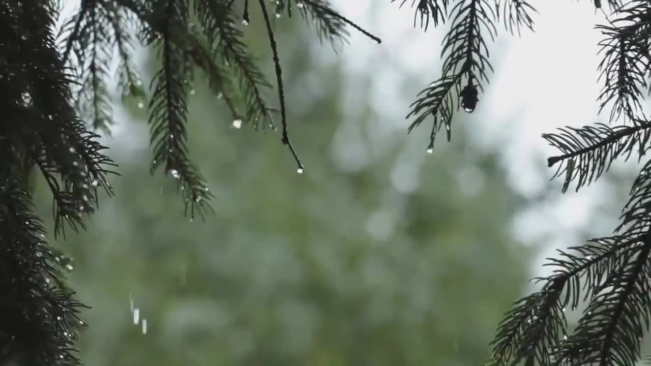 Thunderstorm Rain Sounds for Sleeping or Relaxing