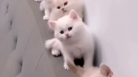 practice marching
