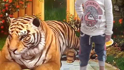 Tiger king quite baby