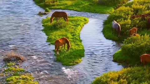 The nature beauty of Swaziland 🇸🇿