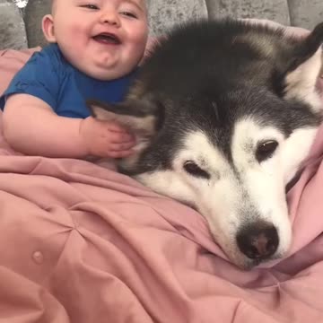 Husky and elon become good friend