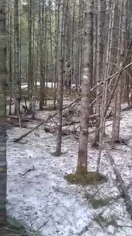 Hiking family caught singing