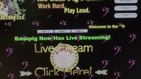 Basspig.com Now Has Live Streaming!