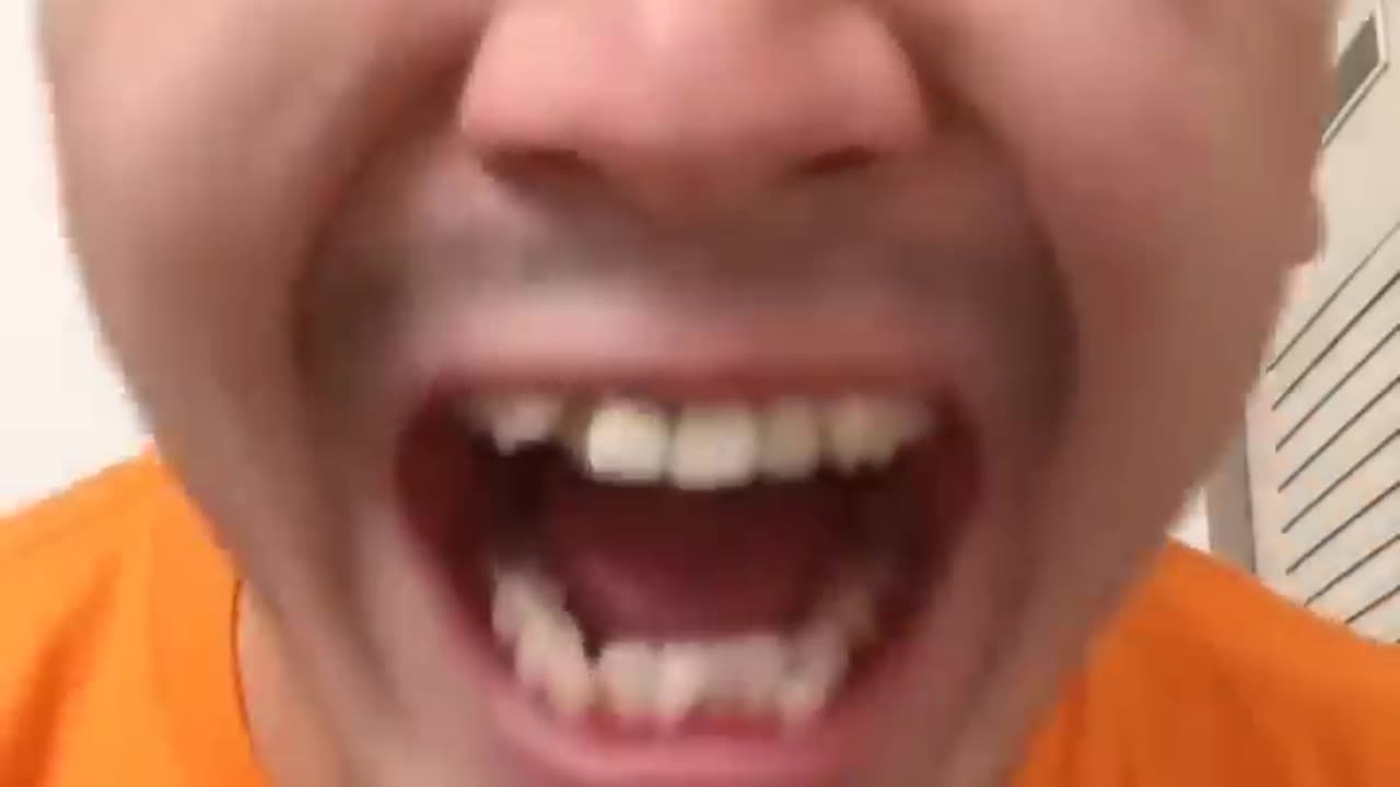Funny videos
