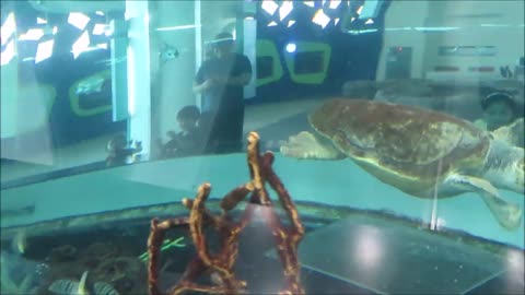 National Maritime Museum (Busan, South Korea)-17