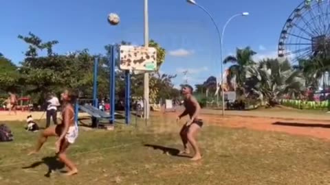 WARMING UP | INCREDIBLE DOG 🐕