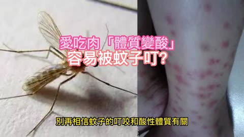 愛吃肉「體質變酸」 容易被蚊子叮？