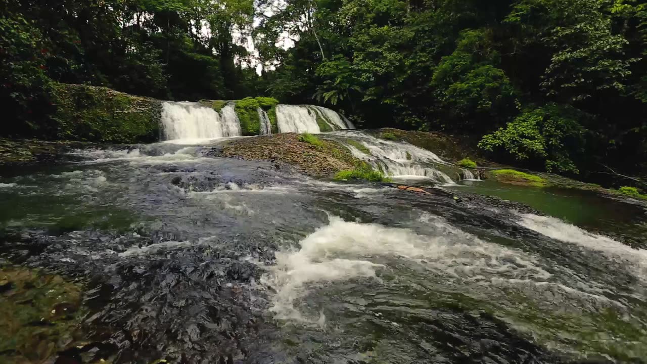 Natural scene