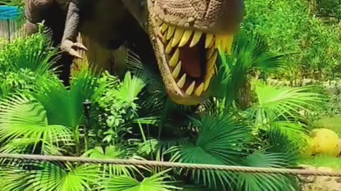 My dinosaur