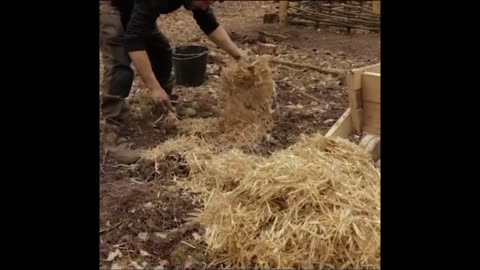 Build a survival house - Xây dựng căn nhà sinh tồn