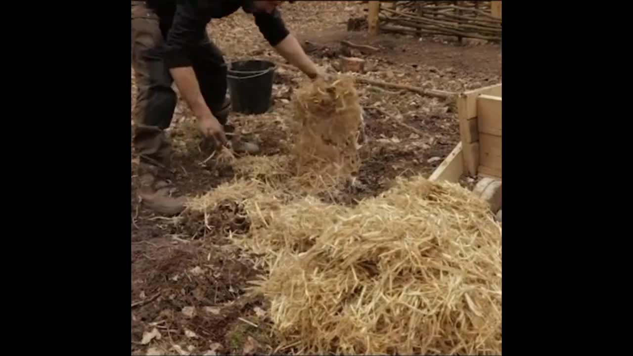 Build a survival house - Xây dựng căn nhà sinh tồn