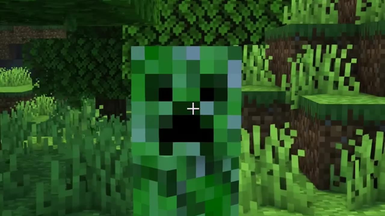 Minecraft When you DON'T fill the Creeper Holes...