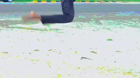 Taekwondo kick