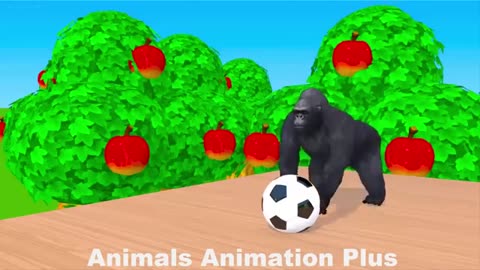Rabbit,Gorilla,Hamsters,Dog,Cat,Wild Animals Crossing Fountain 2023||