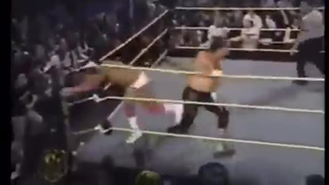 JAKE THE SNAKE ROBERTS VS. TOM BRANDY