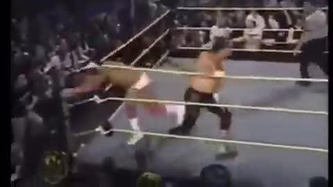 JAKE THE SNAKE ROBERTS VS. TOM BRANDY