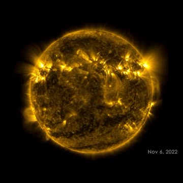 Time for some Sun salutations 🧘