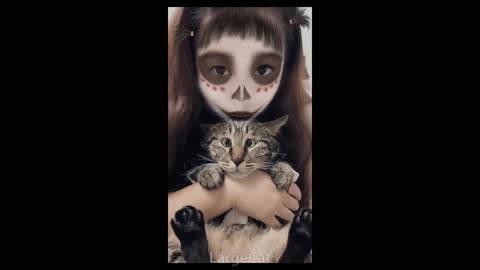 offensive memes that are racially motivated