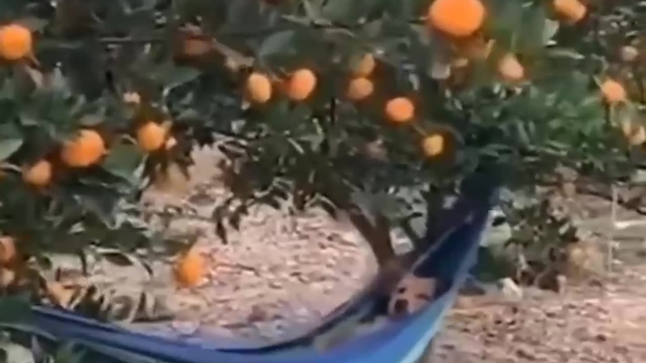 relaxation