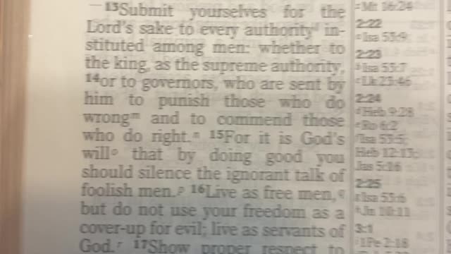 1 Peter 2:13-5:11