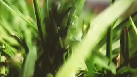 I want this kind of weather everyday 🔆