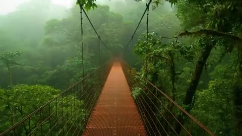 Liquid-Drum-and-Bass-Mix-60_23