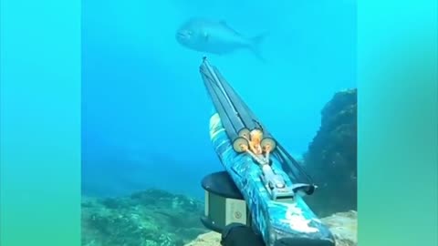 Diving fishing