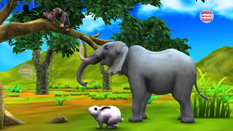 Idiot monkey story