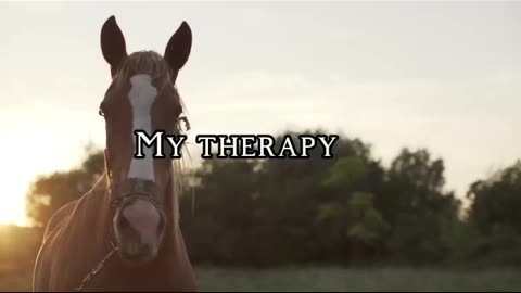 My therapy