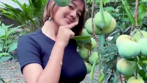 Harvesting mangoes in my tiny garden - Martina nursery garden