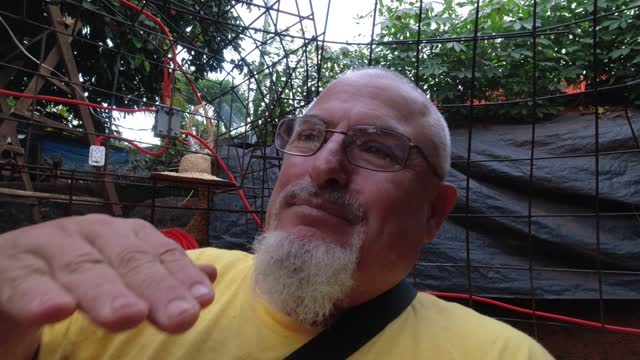 "THEY" ARE TRAPPING US part 2