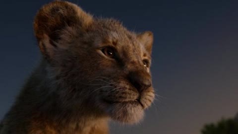 Simba the lion king 2019