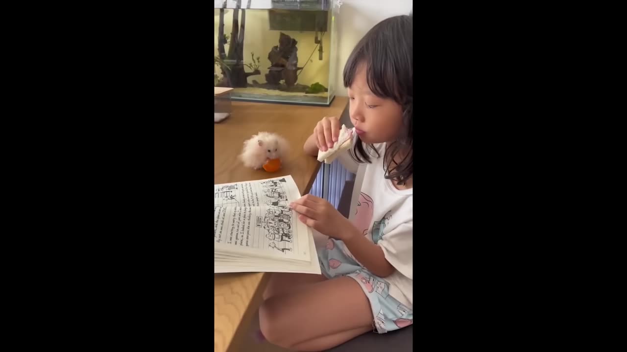 Random Memes on internet #6