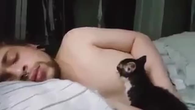 Cat Doing To Its Drowsy Human Is Freaking Weird