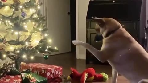 I wanna open my presents!