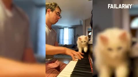 People v Animals Funny animals fails compilation