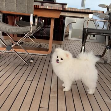 abNQyyitXKmJWToeqgJtwh