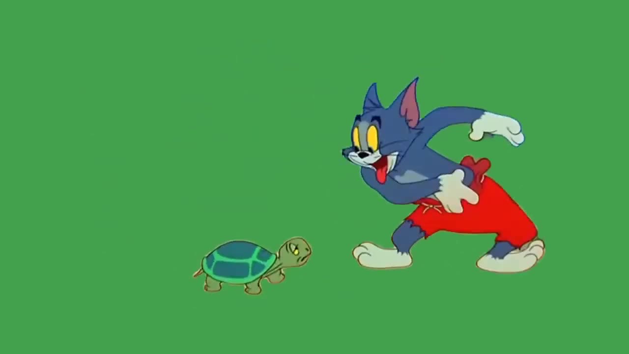 Tom & Jerry Cartoon Green screen