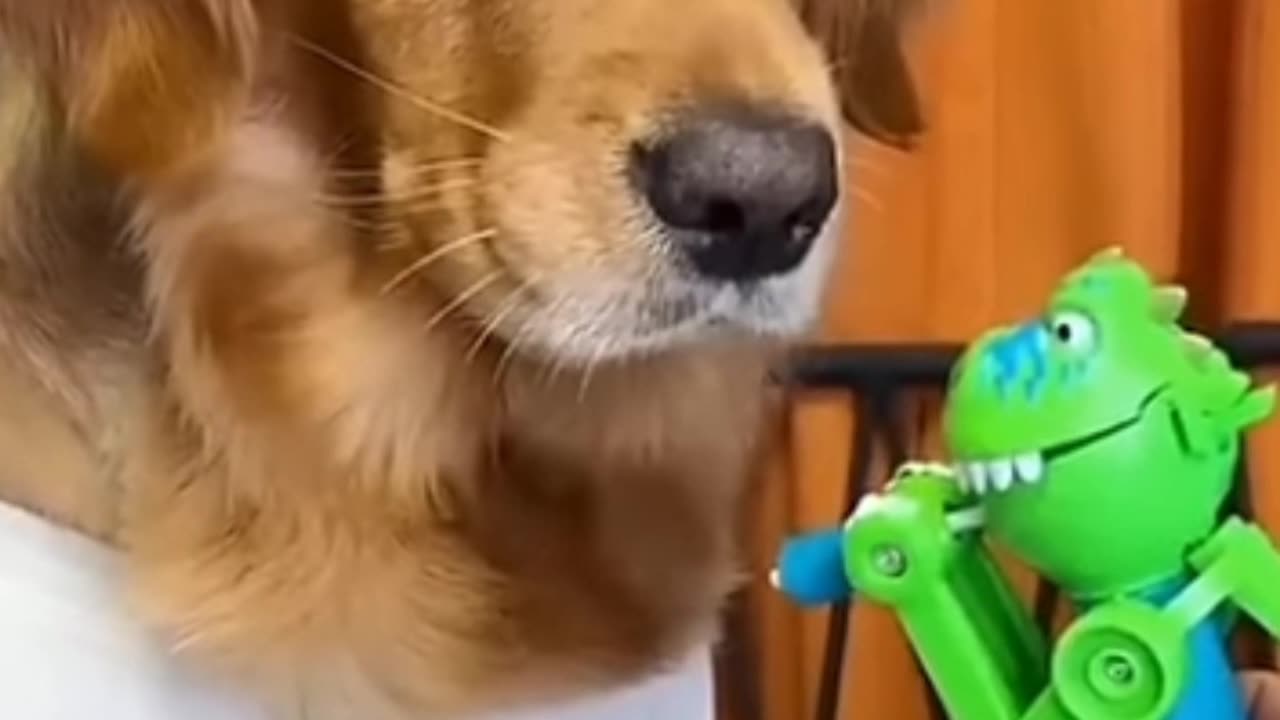 Funny video 😂 please like my video 🙏🏻