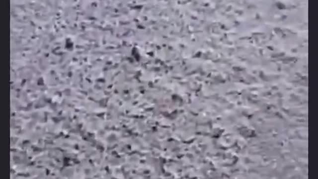 🇨🇳 Cina: Un camionista si ferma sul ciglio di una strada e scopre che i test