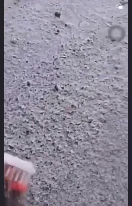 🇨🇳 Cina: Un camionista si ferma sul ciglio di una strada e scopre che i test