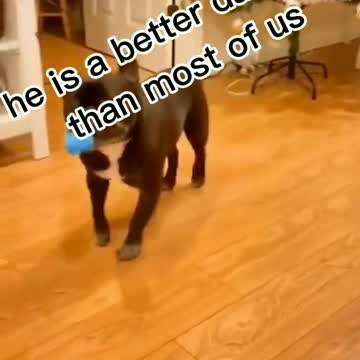 Try Not to LAUGH !! CHALLENGE