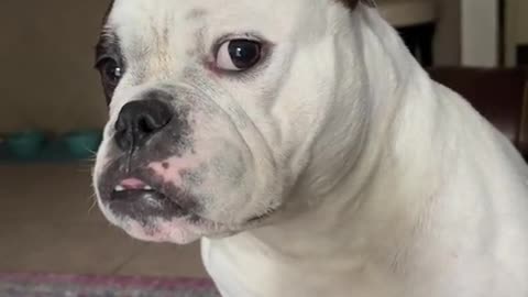 operating system and manages computer