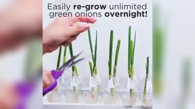 Awesome Gardening hacks