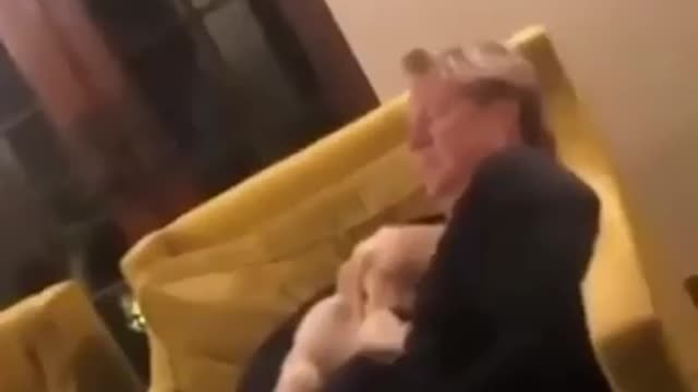 Dad loves and treat the dog like his own son