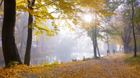 Enchanting Autumn Forests with Beautiful Piano Music