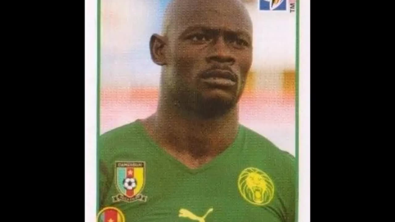 PANINI STICKERS CAMEROON TEAM WORLD CUP 2010