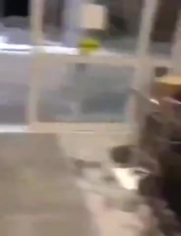 CANADIAN COPS BUSTED WITH CANISTERS OF 'TOXIC EXPLOSIVE CORROSIVE SUBSTANCE' OUTSIDE HOTEL